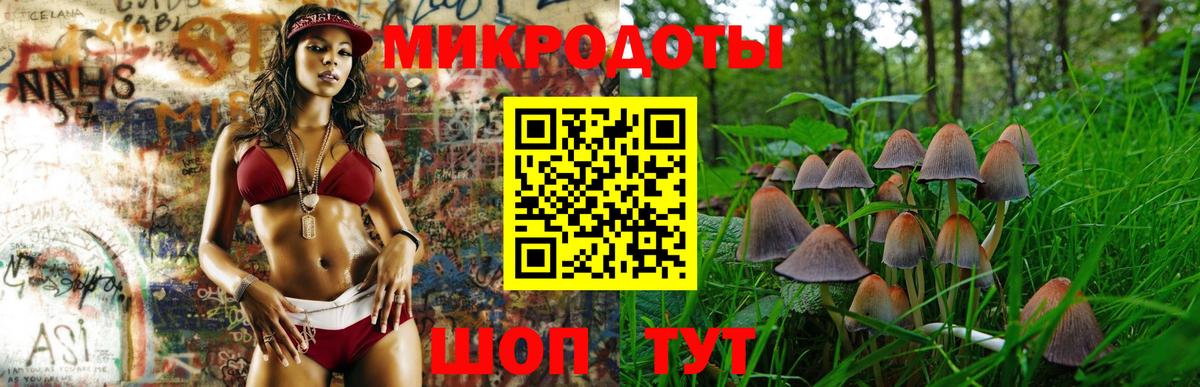 Псилоцибиновые грибы GOLDEN TEACHER Новый Уренгой