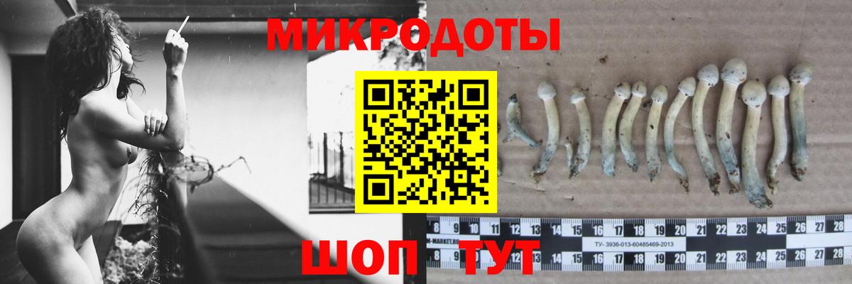 Новый Уренгой  Псилоцибиновые грибы MAGIC MUSHROOMS  Вход с VPN  Псилоцибиновые грибы MAGIC MUSHROOMS 